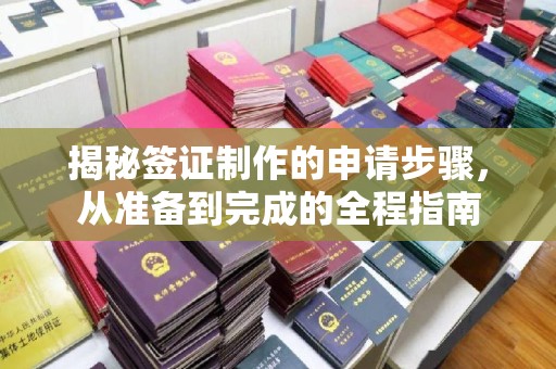 宾县揭秘签证制作的申请步骤，从准备到完成的全程指南